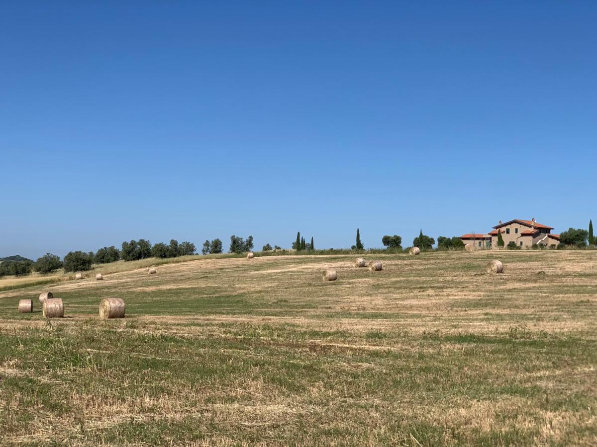 Il Poggio Di Musignano Villa Musignano  Exterior photo